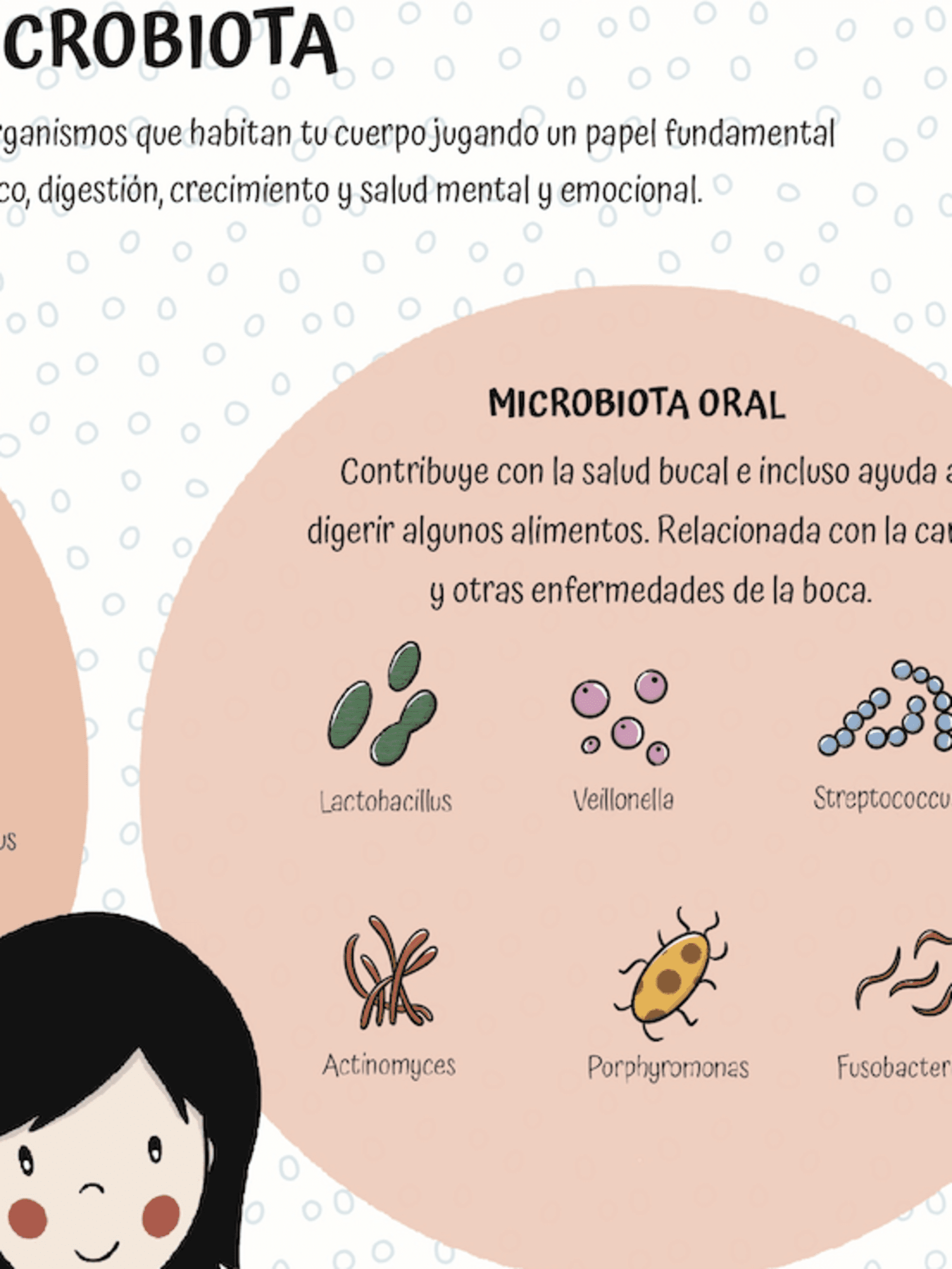 Lámina microbiota infantil - 4