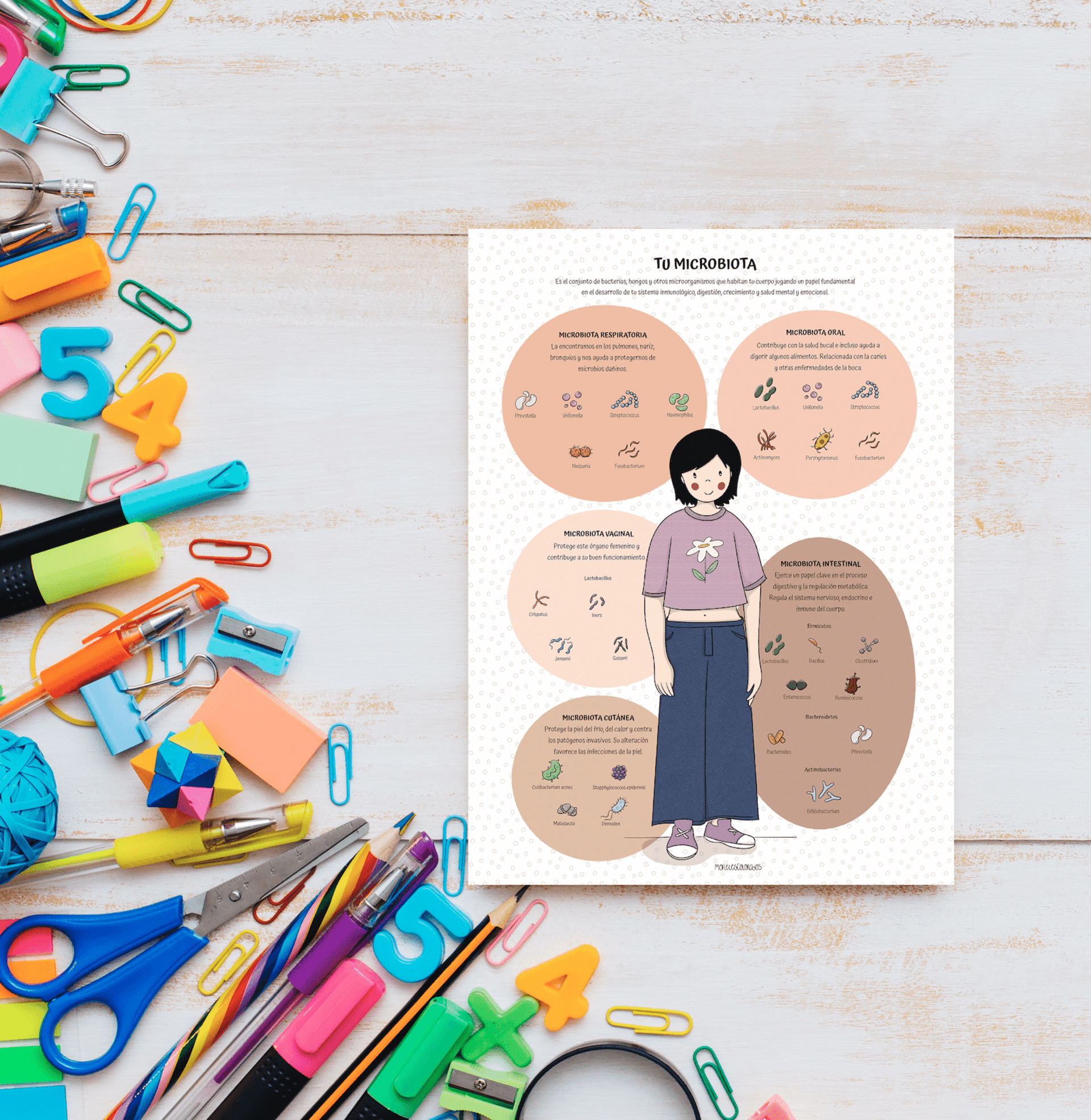 Lámina microbiota infantil - 1