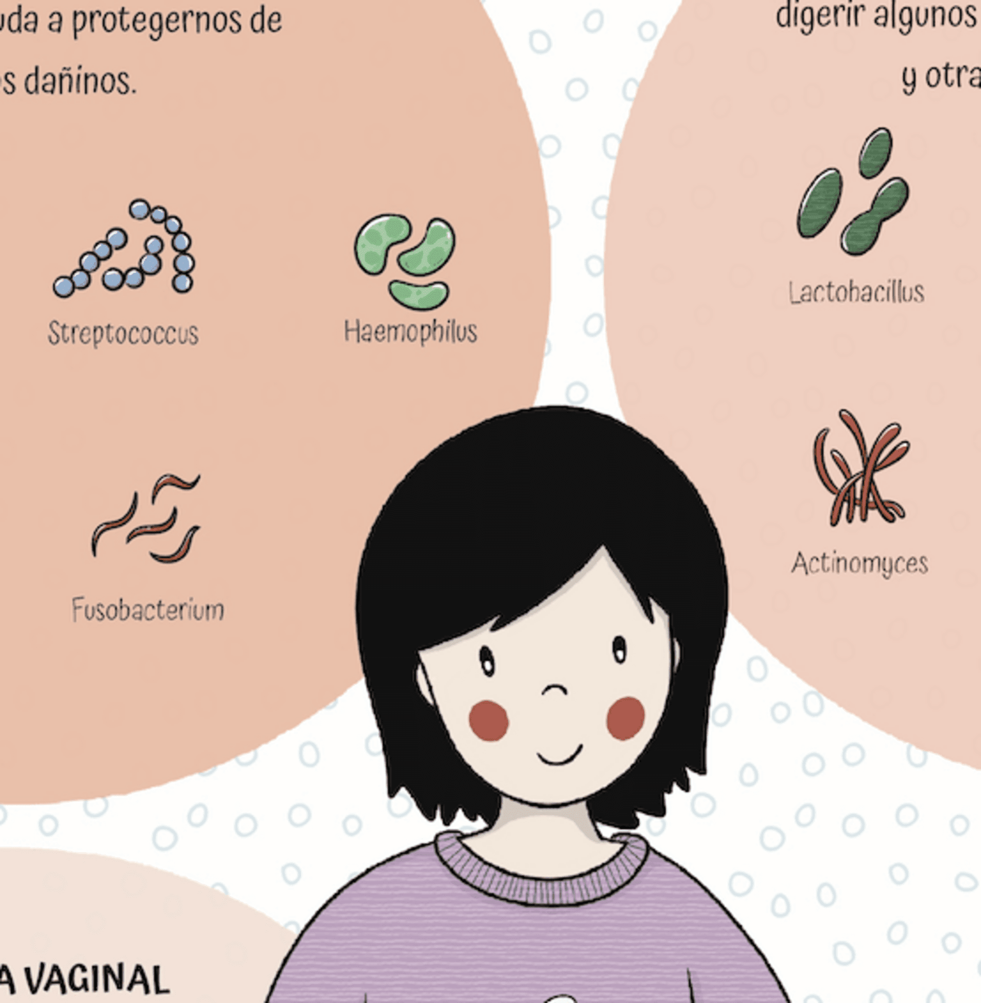 Lámina microbiota infantil - 2