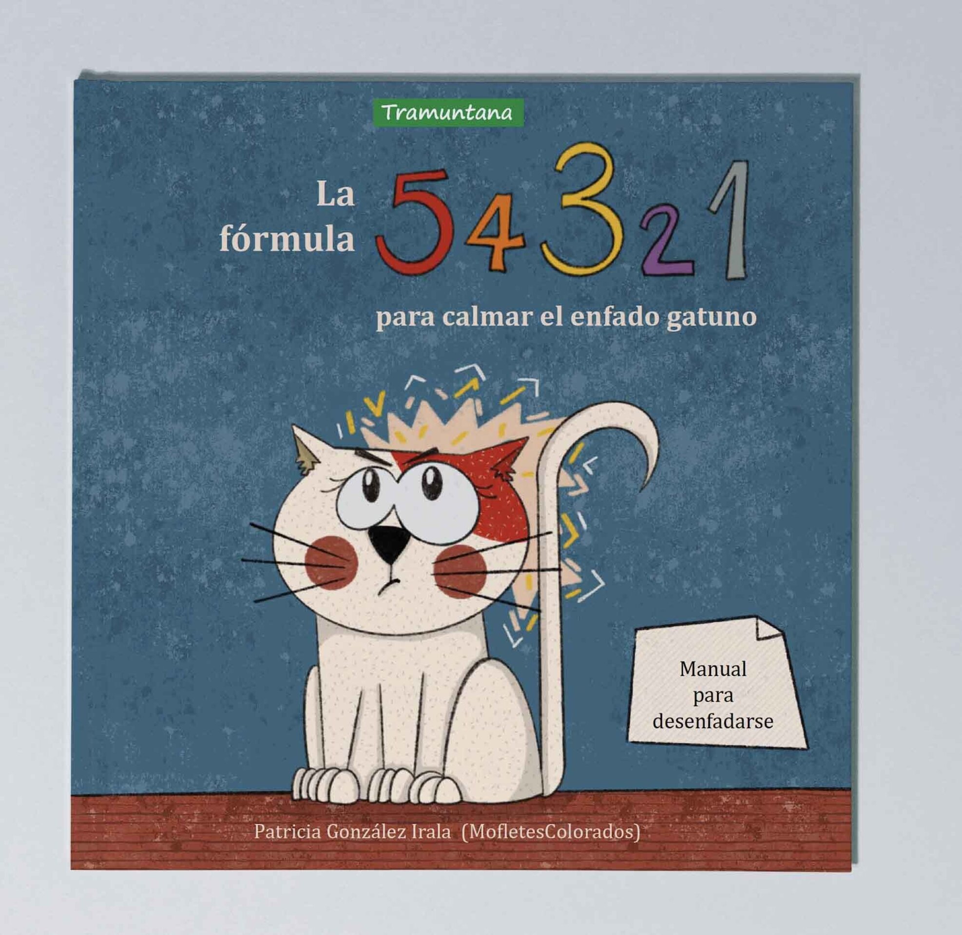 La fórmula 5, 4, 3, 2, 1 para calmar el enfado gatuno. - 2